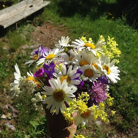 Sonnenberg 3* サンクト・アントン・アム・アールベルク