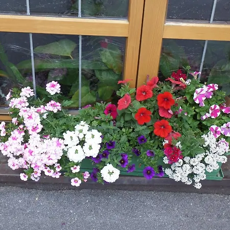 Sonnenberg サンクト・アントン・アム・アールベルク