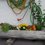 Pensjonat Sonnenberg 3*