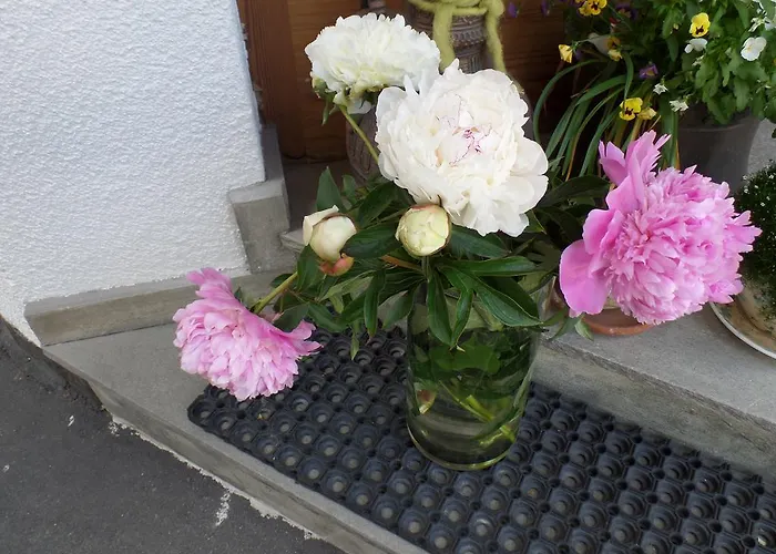 بيت ضيافة Sonnenberg